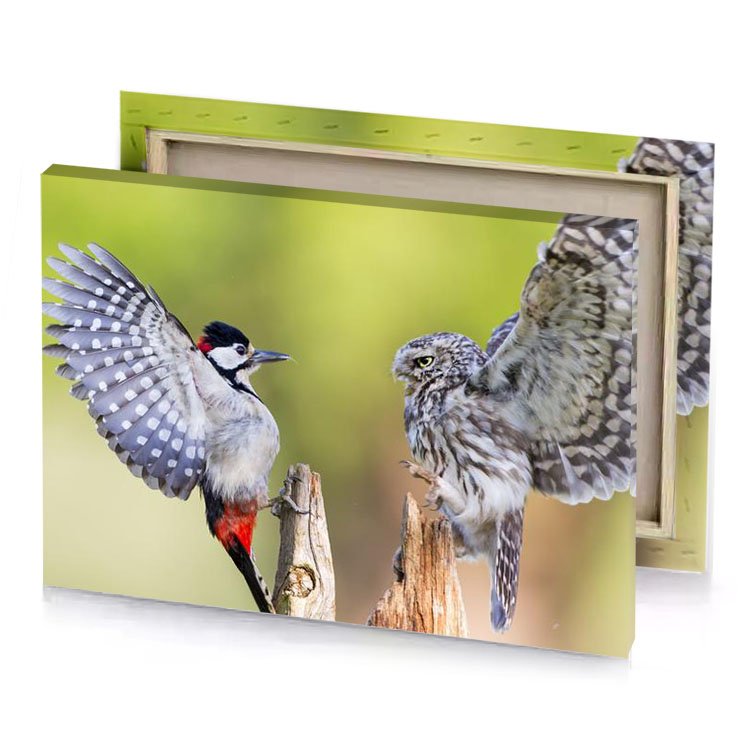 two birds are standing on a tree stump camouflage green canvas
