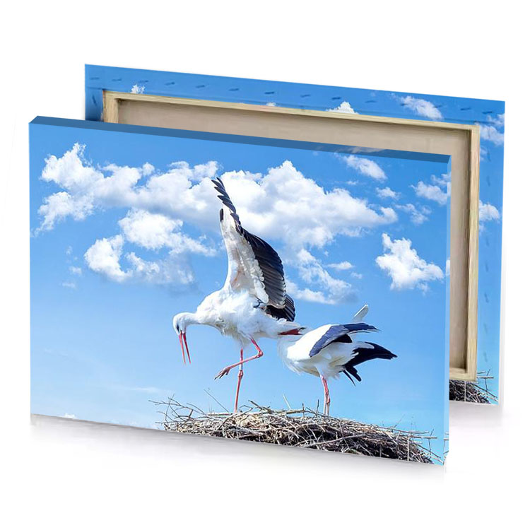 two birds standing on top of a nest light steel blue canvas