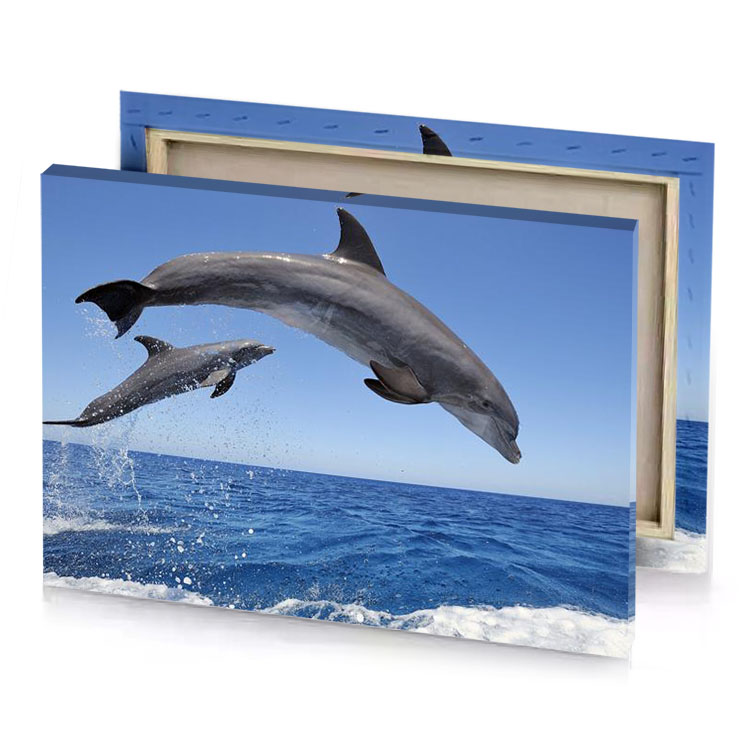 two dolphins jumping out of the water light steel blue canvas