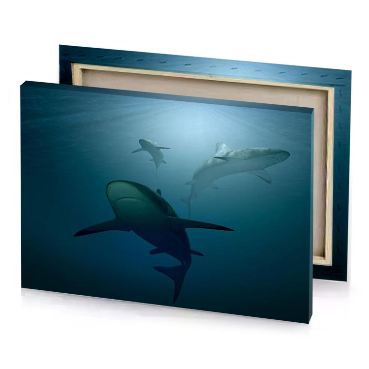 two dolphins swimming in the ocean teal blue canvas