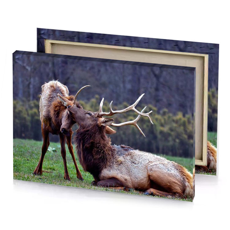 two elk zinnwaldite brown canvas