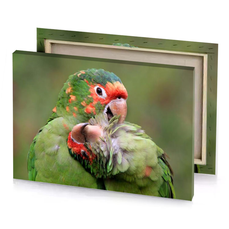 two green parrots are sitting on top of each other camouflage canvas
