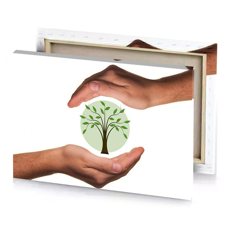 two hands holding a green tree snow canvas