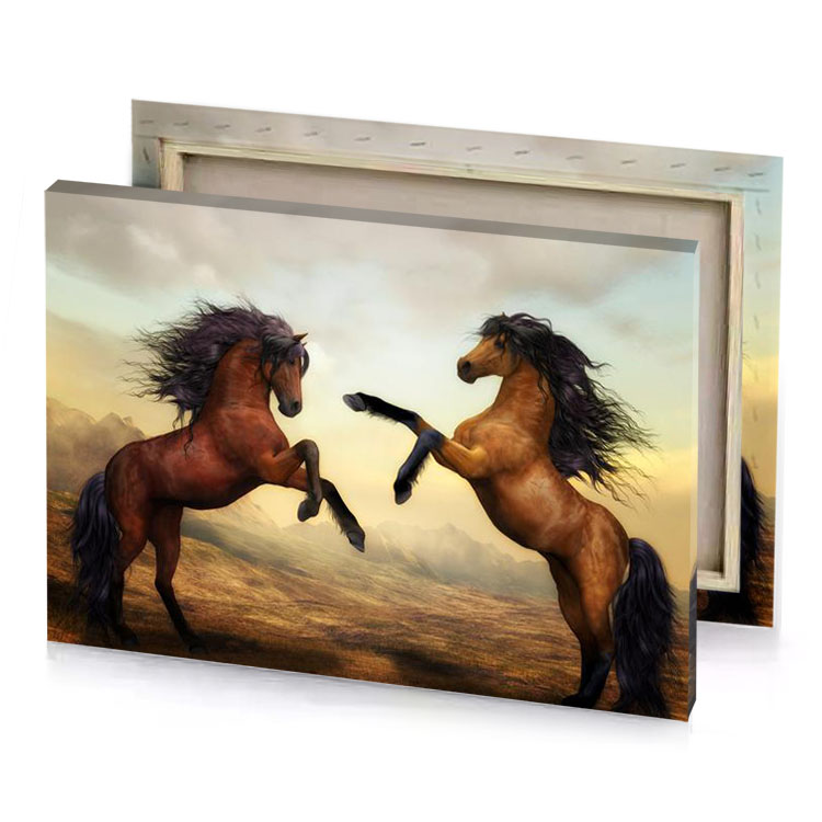 two horses are fighting in a field vanilla canvas