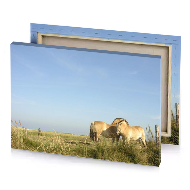 two horses standing in a field of tall grass light blue canvas