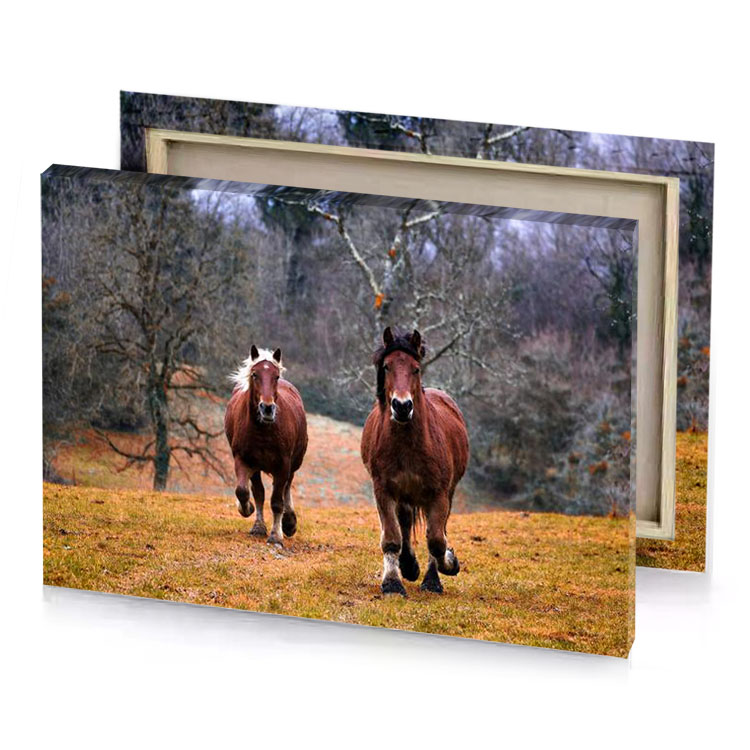 two horses walking in a field with trees the background tan canvas