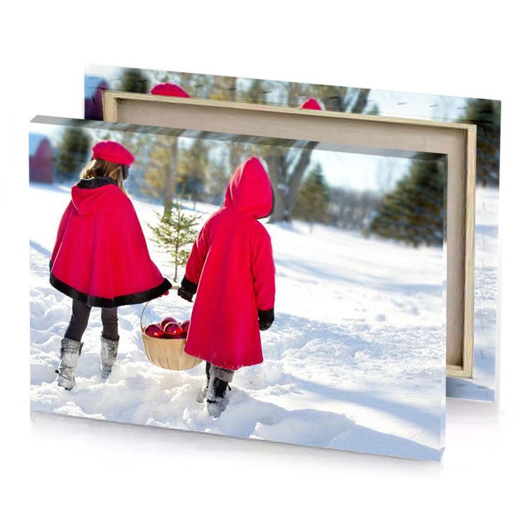 two little girls in red coats walking the snow crimson canvas