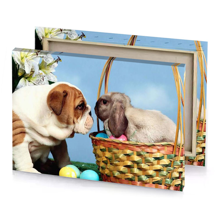 two pup playing with a basket of easter eggs light steel blue canvas