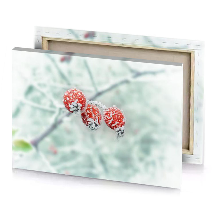 two red berries covered in snow on a branch silver canvas
