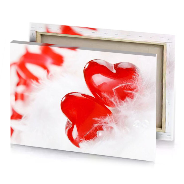 two red hearts with feathers on a white background canvas