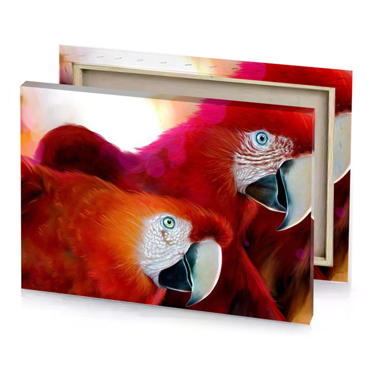 two red parrots are standing next to each other birds firebrick canvas