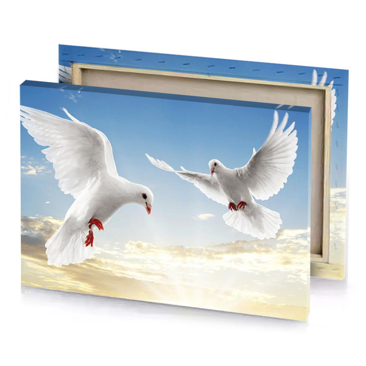two white doves flying in the sky platinum canvas