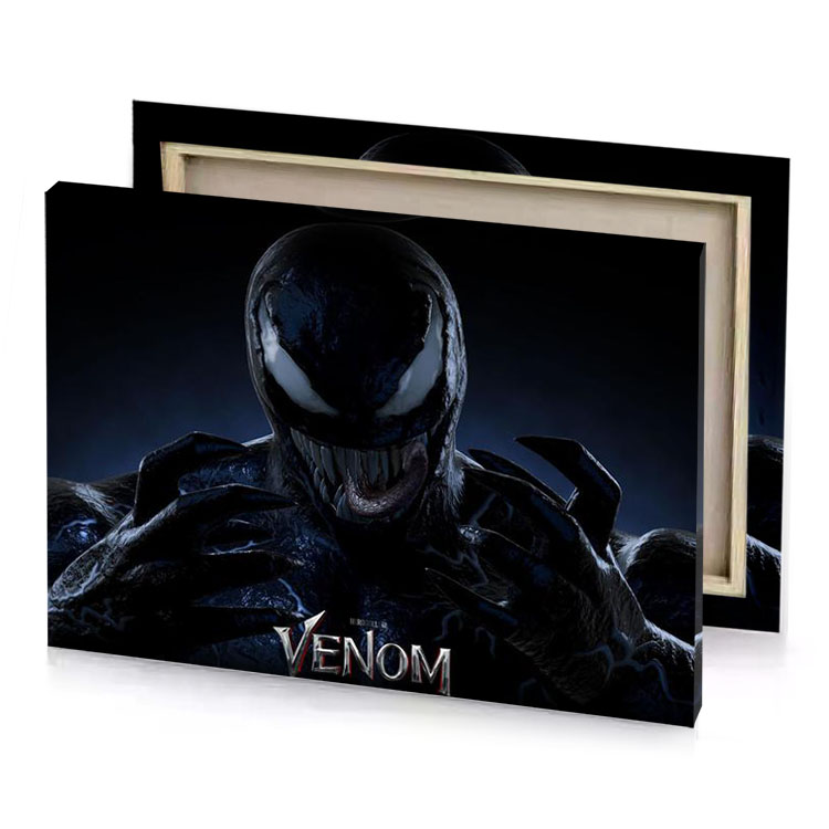 venom charcoal canvas