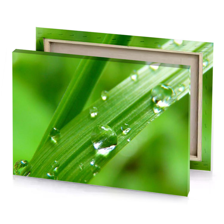 water droplets on a blade of grass olive drab canvas