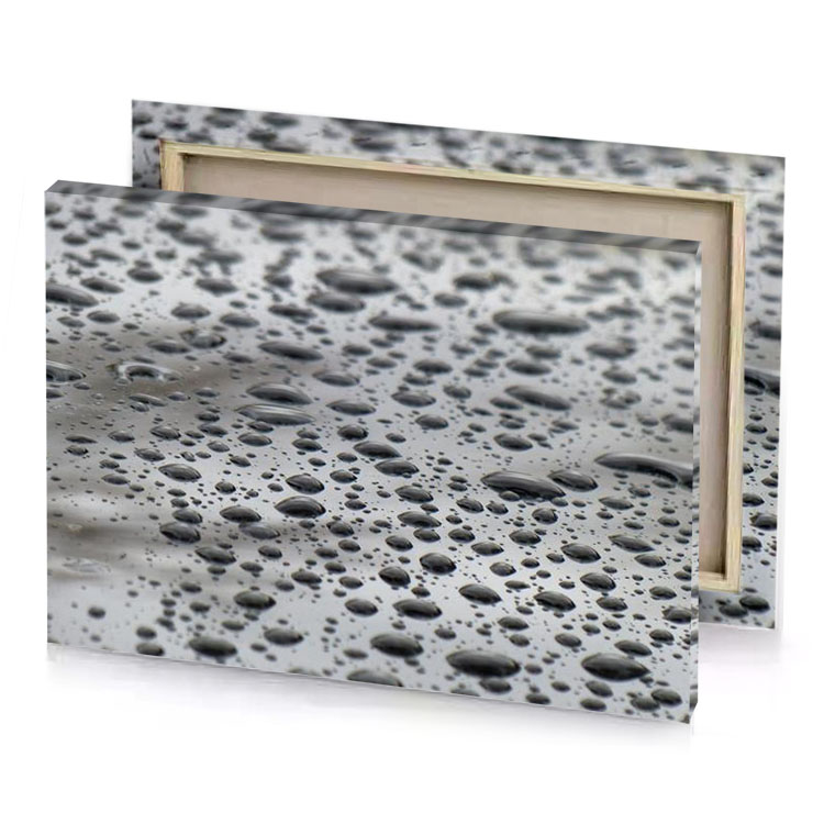 water droplets on a car manatee canvas