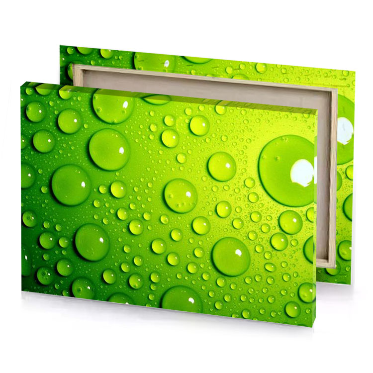 water drops on green background spring bud canvas