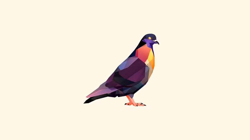 Default Art Image