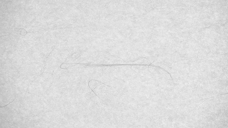 Default Art Image